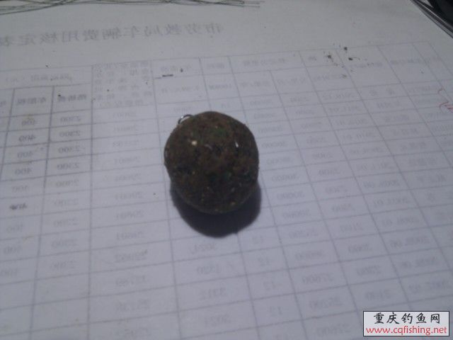 IMG_20111108_14.jpg