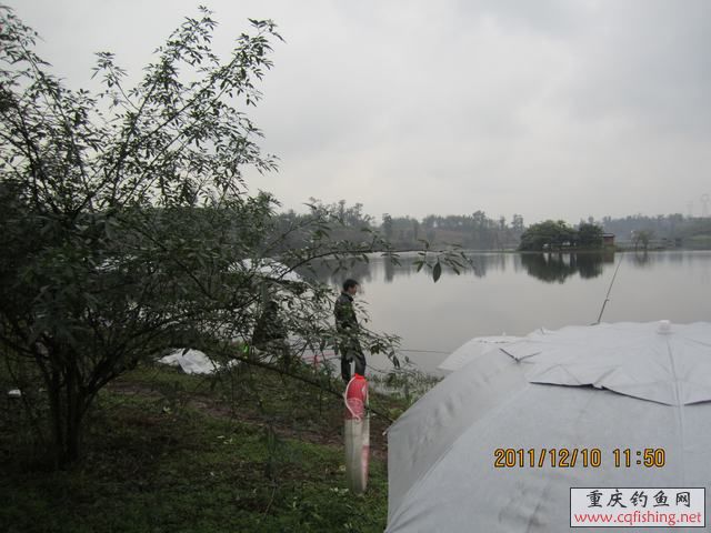 IMG_0397.JPG