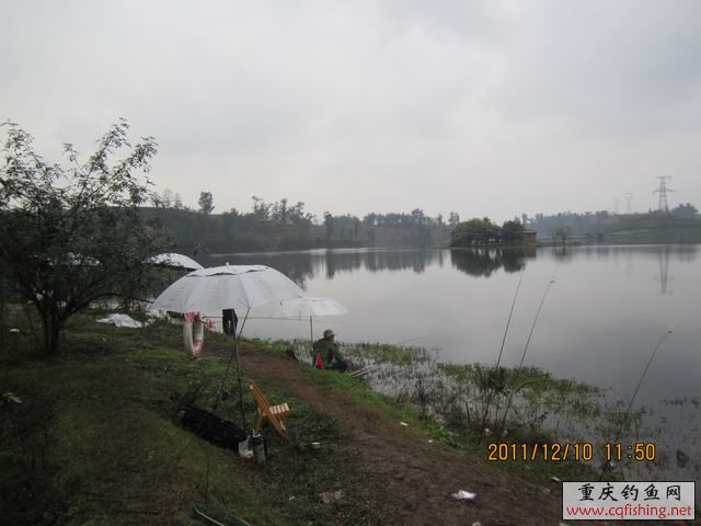 IMG_0396.JPG