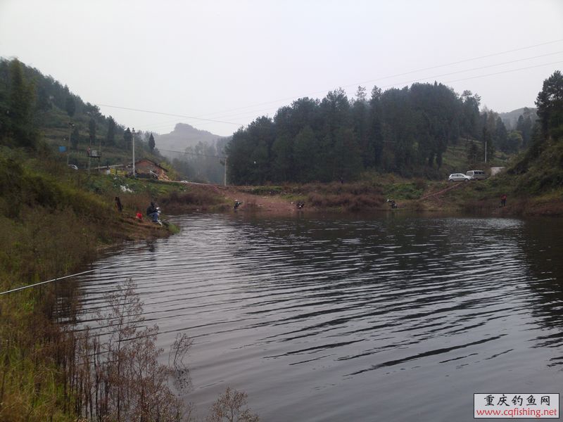 20111217229.JPG