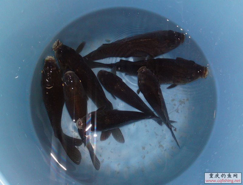 20111217235.JPG