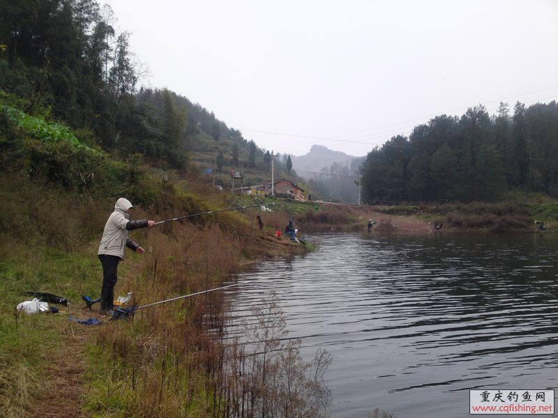 20111217231.JPG