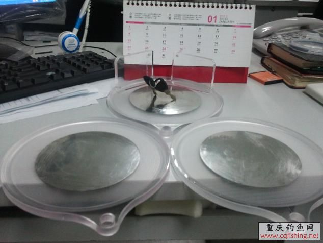 2011-12-31 08.50.42.jpg