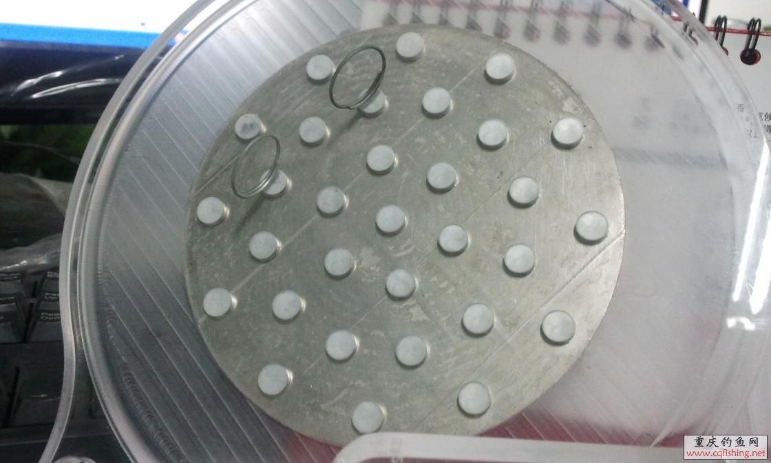 2011-12-31 09.19.09.jpg