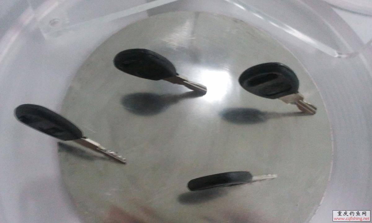 2011-12-31 09.20.32.jpg