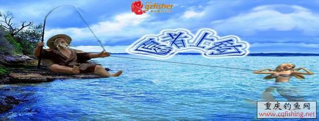 143234ez7efnimswtsilmv[1].jpg