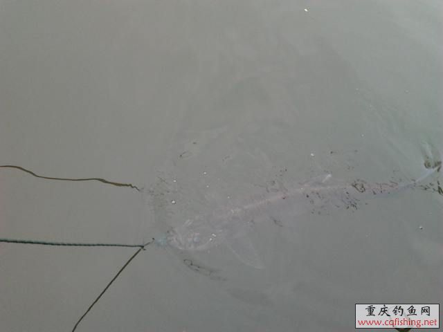 Ƭ0908.jpg