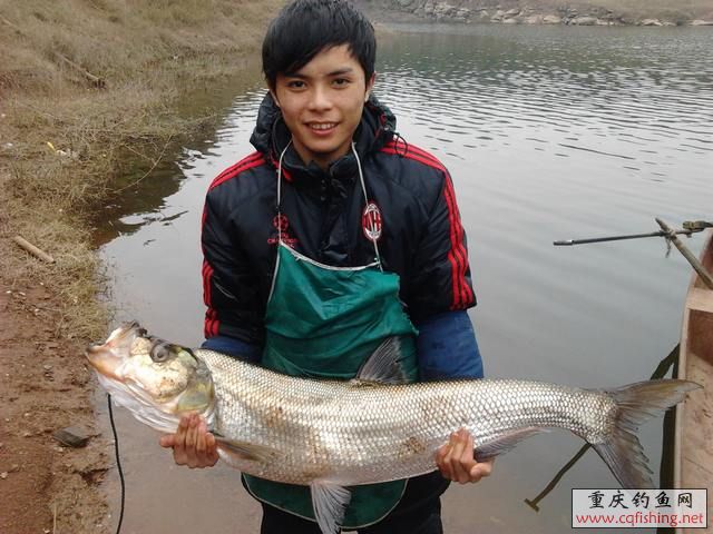Ƭ0913.jpg