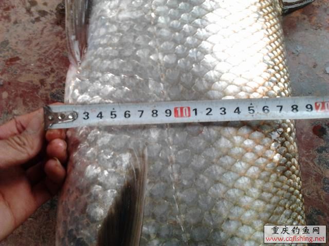 Ƭ0912.jpg