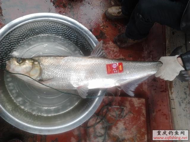 Ƭ0928.jpg