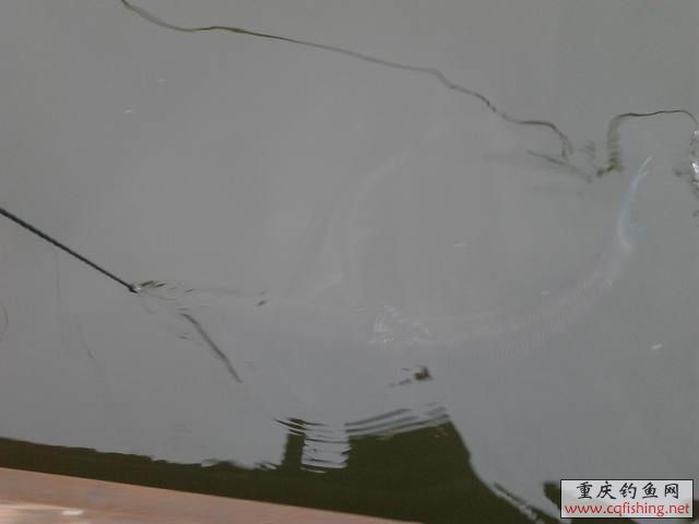Ƭ0909.jpg