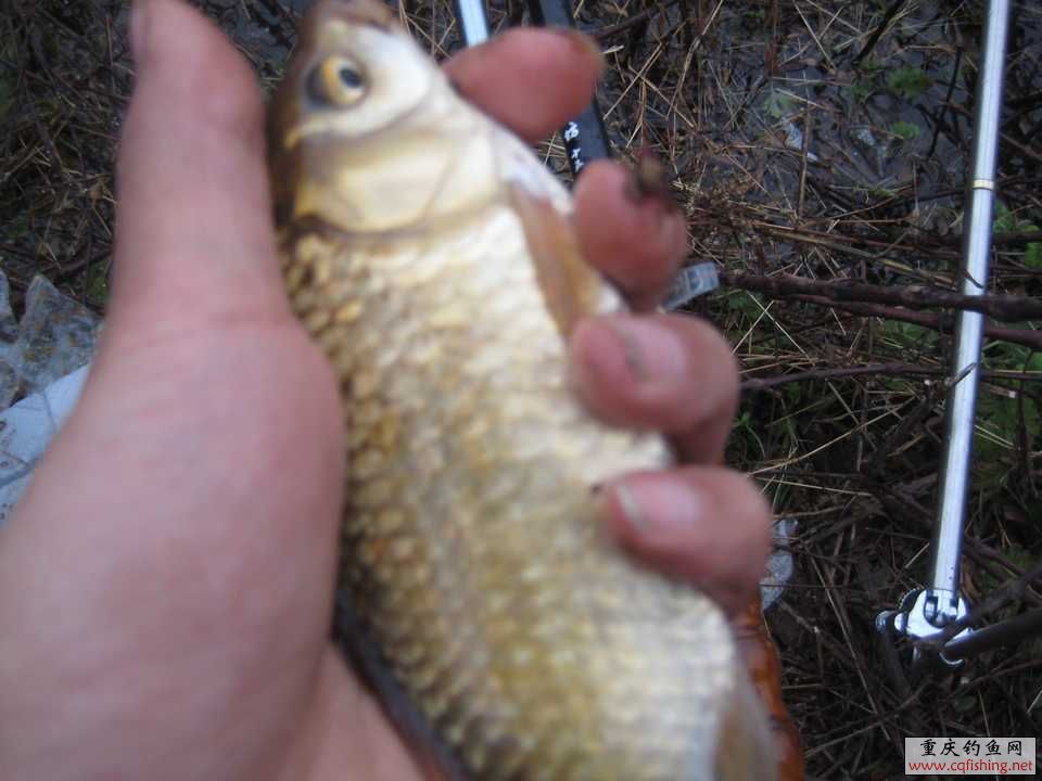 IMG_6243.jpg