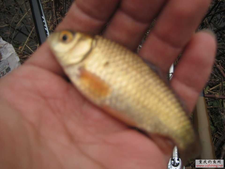 IMG_6251.jpg