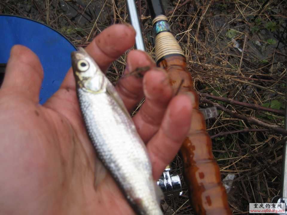 IMG_6245.jpg