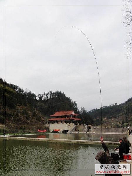 nEO_IMG_DSC03619.jpg