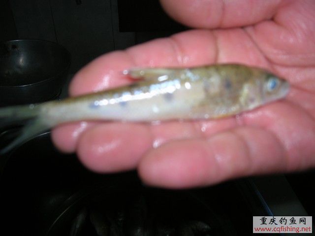 DSCN3285.JPG