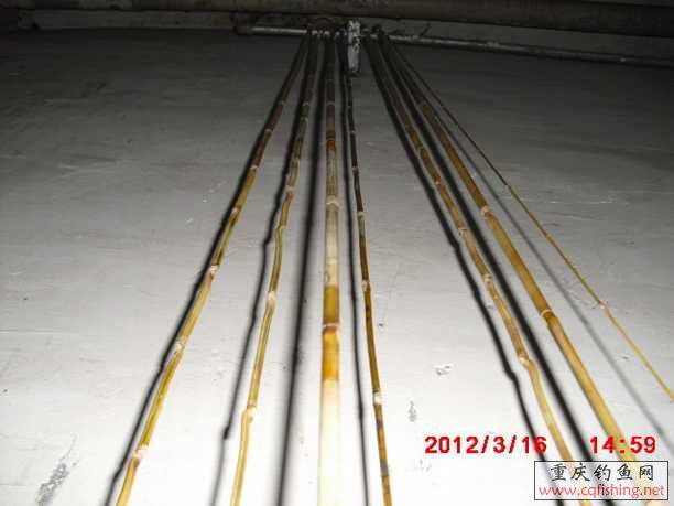 CIMG2805.JPG