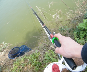DSCF0173.jpg