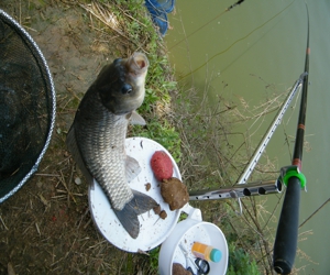 DSCF0190.jpg