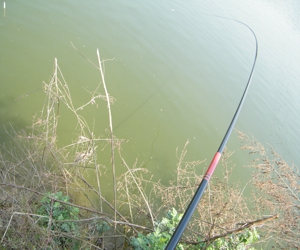 DSCF0146- .jpg