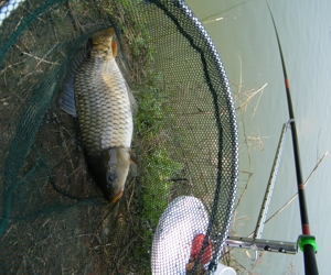 DSCF0164- .jpg