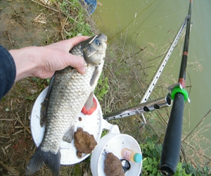 DSCF0182.jpg