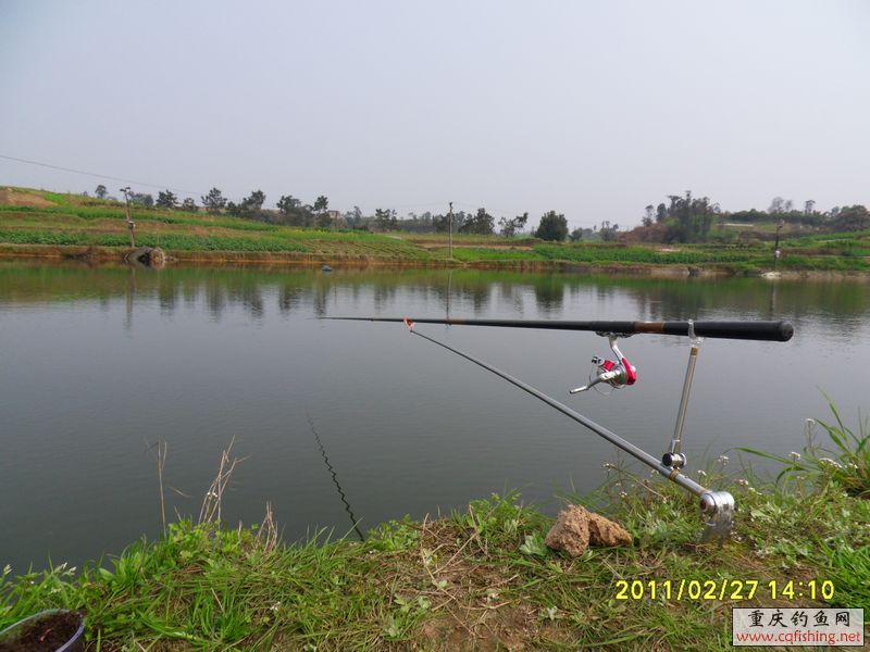SDC19072.JPG