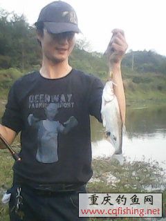 ô㣬