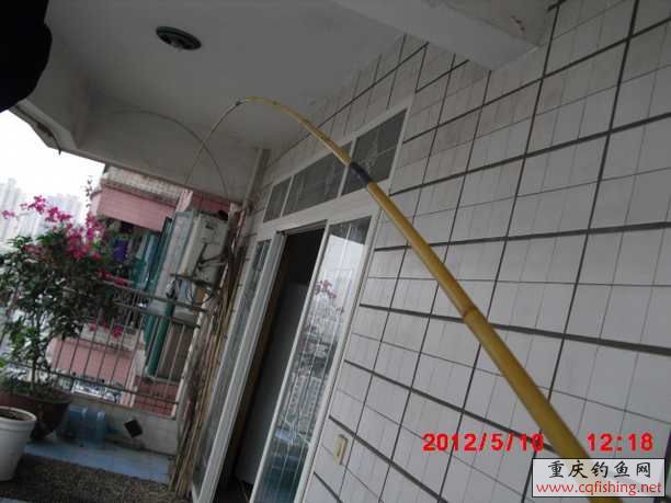 CIMG3061.JPG