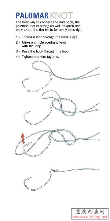 palomar knot.jpg