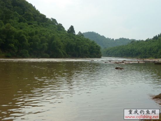 P1020347.JPG