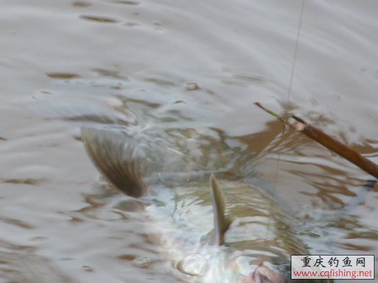 P1020342.JPG