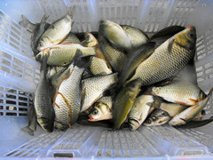 DSCF5013__.jpg