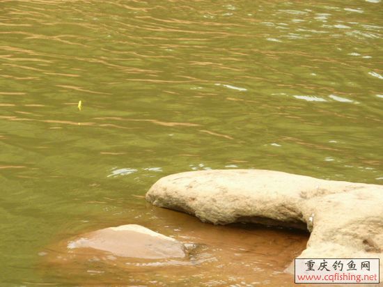 P1020410.JPG