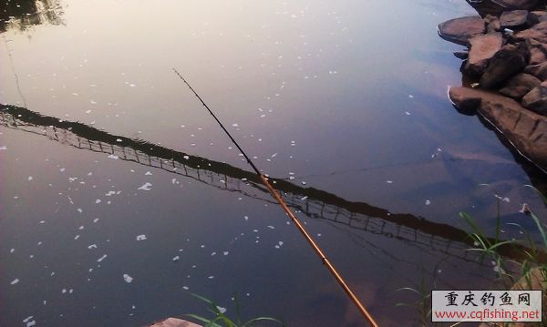 nEO_IMG_nEO_IMG_IMAG0208.jpg