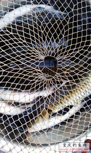 nEO_IMG_nEO_IMG_IMAG0235.jpg