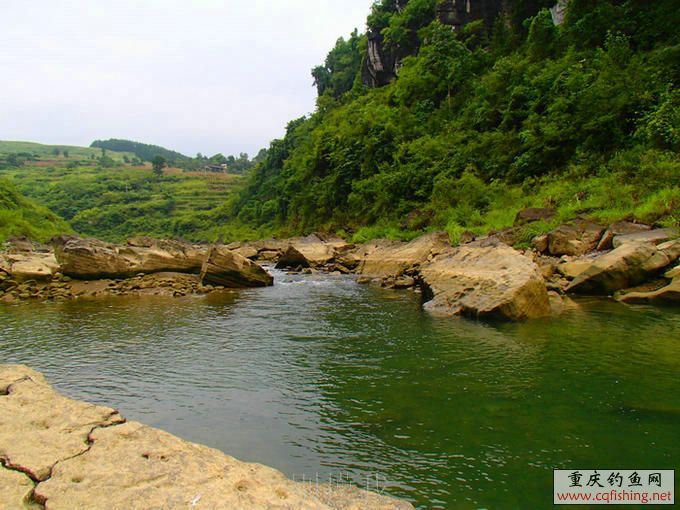 P1010157.JPG