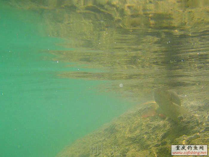 P1010372.JPG