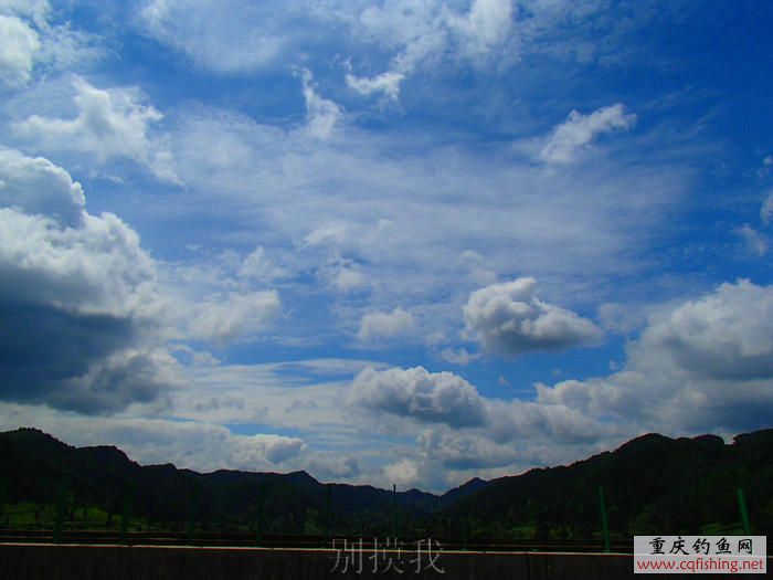 P1010479.JPG