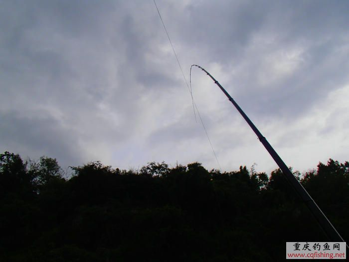 P1010276.JPG