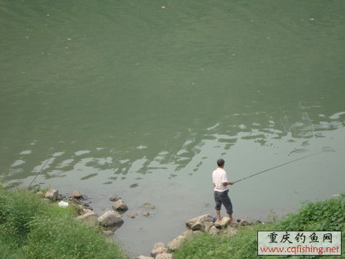 DSC02405_.jpg