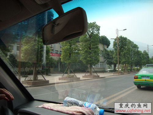 DSC02411_.jpg