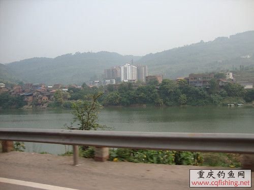 DSC02397_.jpg