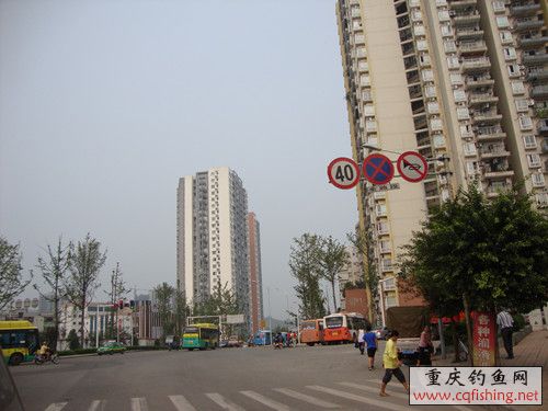 DSC02408_.jpg