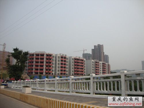 DSC02410_.jpg