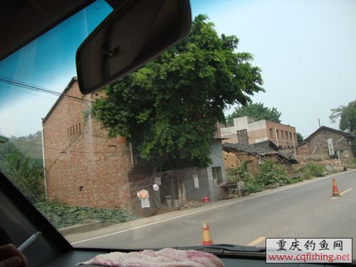 DSC02396_.jpg