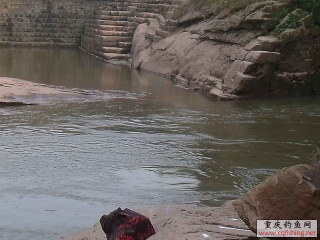 DSCF1998.jpg
