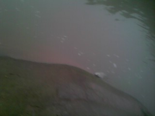 IMG0268A.jpg