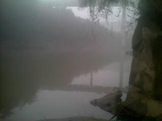 IMG0265A.jpg