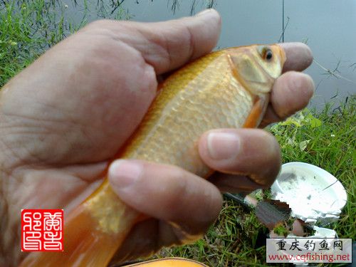 20120926864_.jpg